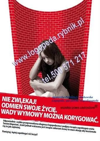 Śląskie Centrum Pomocy Logopedycznej i Neurologopedycznej w Rybniku